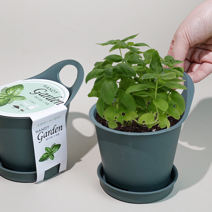 �ڵ𰡵�-������