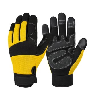 CF503 ���ڶ����� �÷�Ƽ�� ������ �̲������� ������ȣ �尩