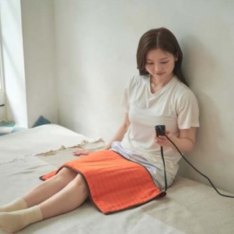 schmidt Ȳ�� �¼� ����������