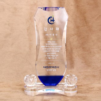 [����] ss- 31