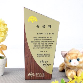 ������ ��������� ������ art 216